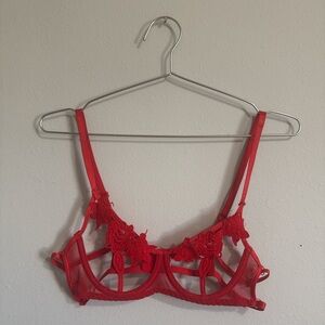 SHEIN Scarlet Floral Embroidered Bralette SET